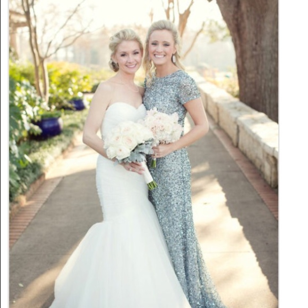 STUNNING Adrianna Papell dress